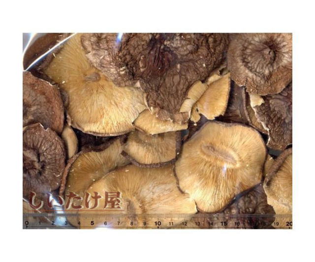 ���������ݾ����ڡ�­�ڥХ��ա�LH