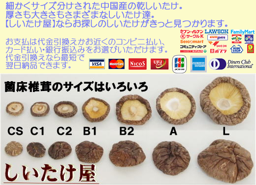 �褦�����ڤ����������ۤء���ʧ����ˡ�ϡ�